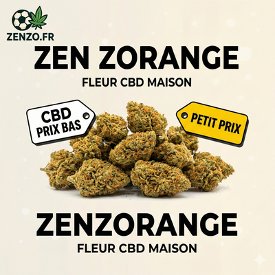 Zen Zorange - Fleur CBD maison