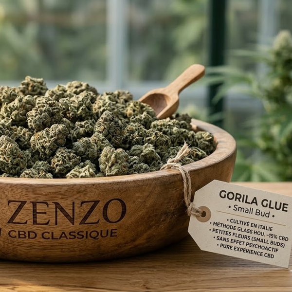 GG Popcorn CBD classique italien