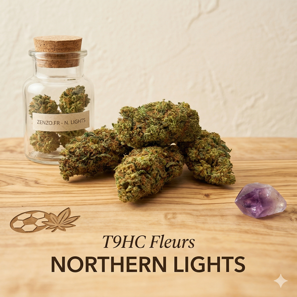 Northern Lights T9 - By Euphoria - Fleur