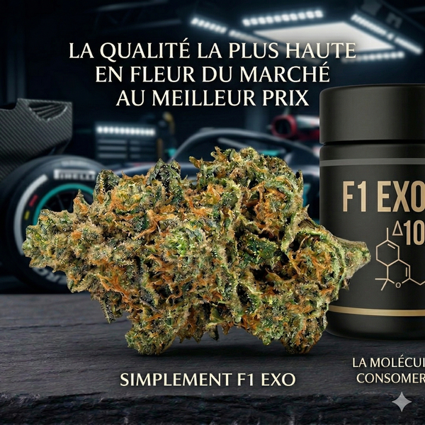 Zen F1 - Fleur 20% D10