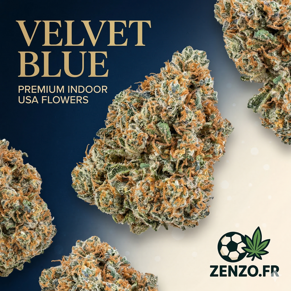 Velvet Blue USA Indoor CBD Elite