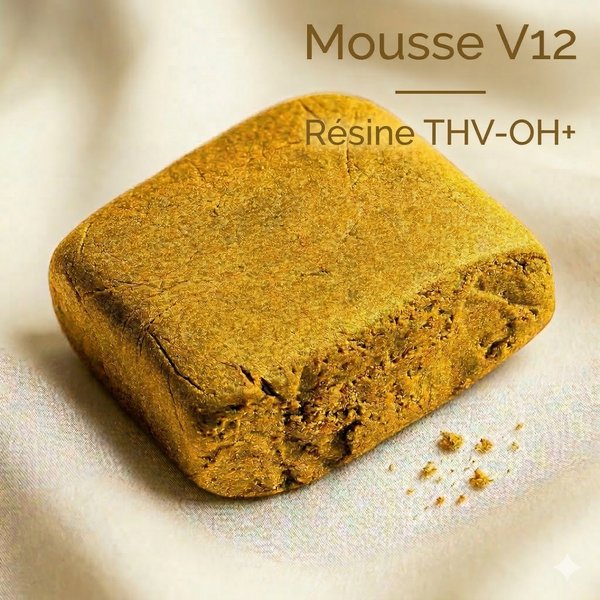 Mousse V12 - Résine THV-OH+