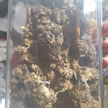 Crimson Rose -  Fleurs THV-OH+