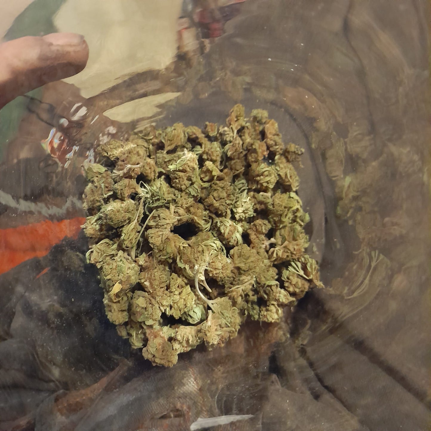 GG Popcorn CBD classique italien