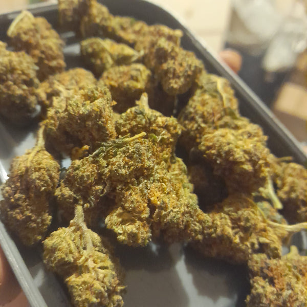 Wildberry - Fleurs 35% THV-OH