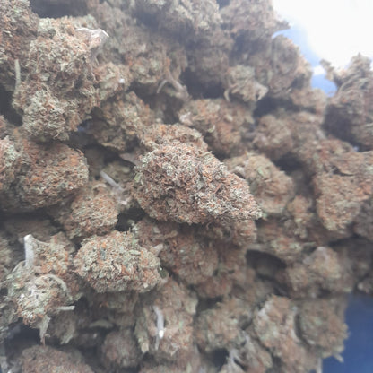 CBD BOX - 25g ou 40g