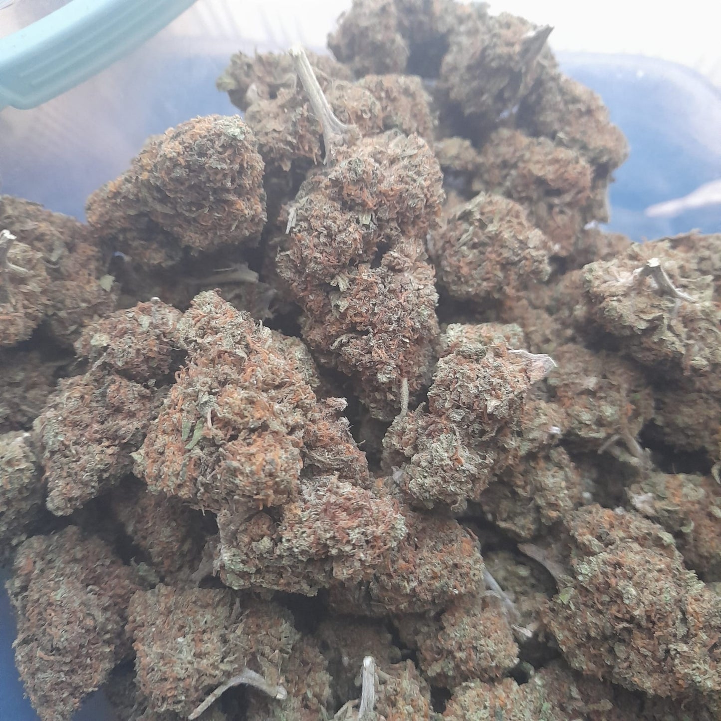 Fleur de CBD STRAWBERRY XL (Bourgeons Premium - Arôme Fruité Intense)