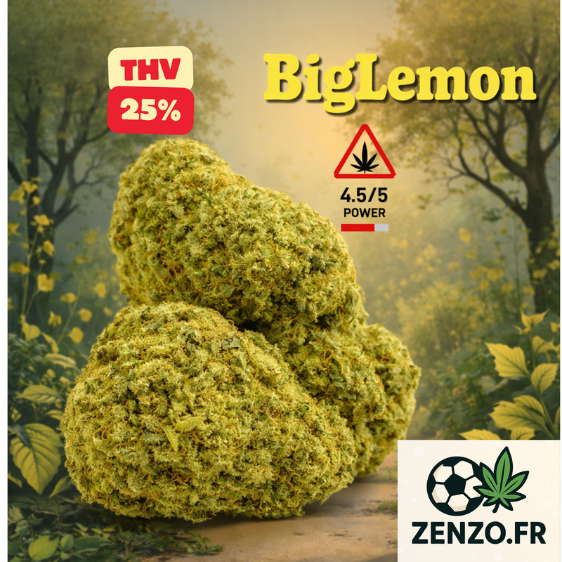 Big Lemon - Fleur 25% THV